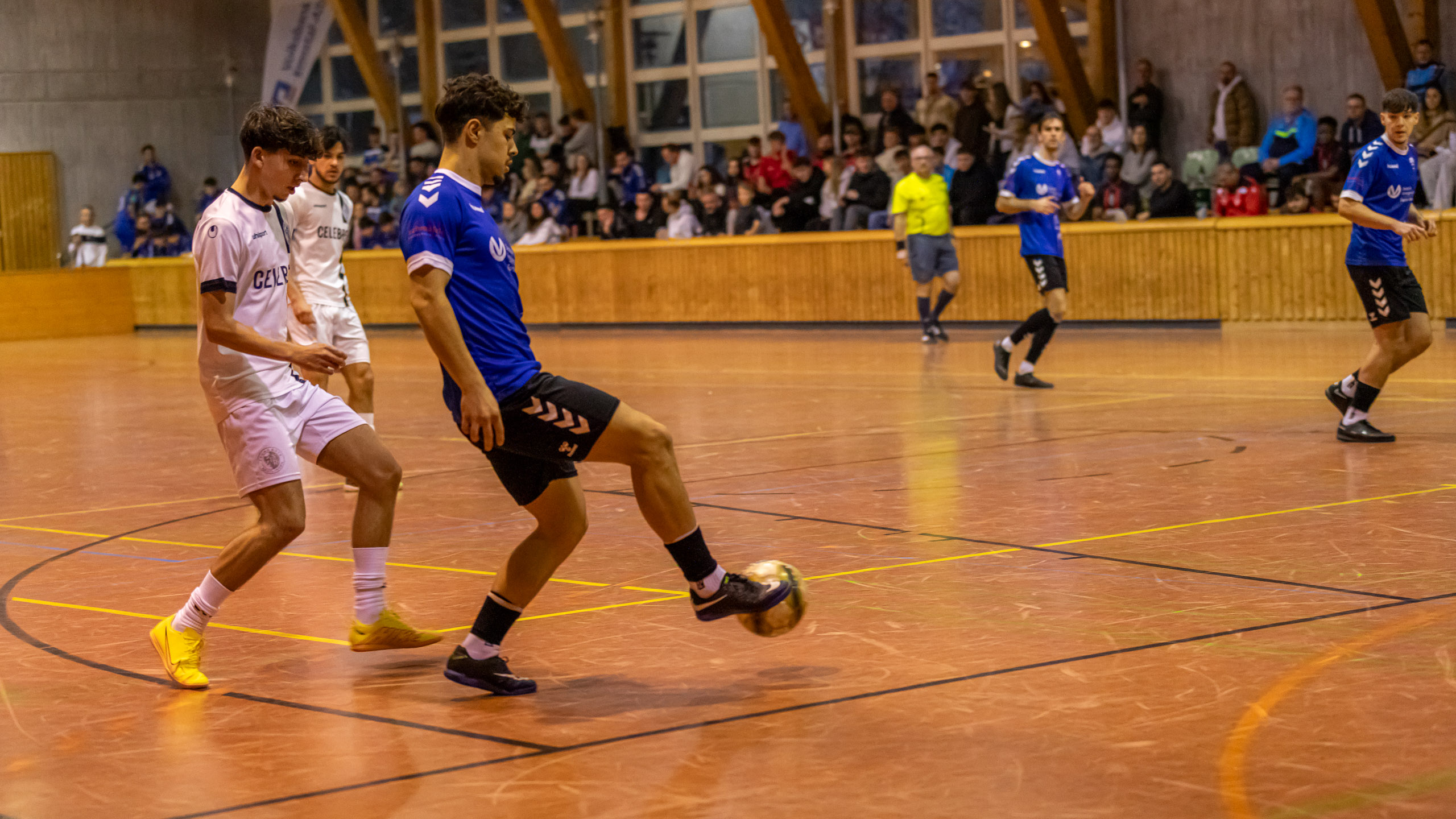 20250118171909 RD4 9376